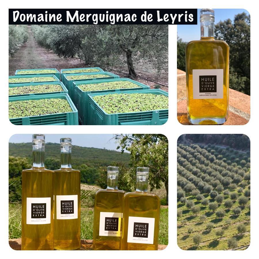 Mas Grenadine, Magnifique Villa Du Piemont Cevenol Sauve Bagian luar foto